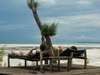 Pongwe Beach Hotel - Relax